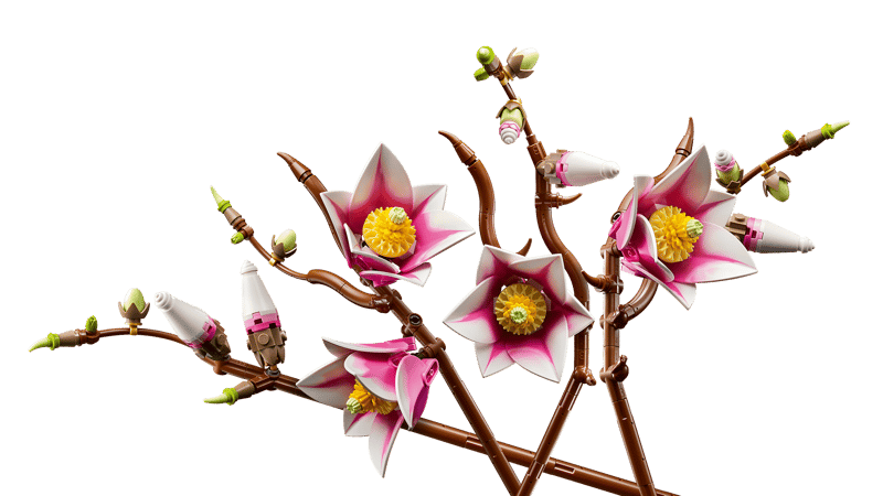 Botanicals Magnolia Branches