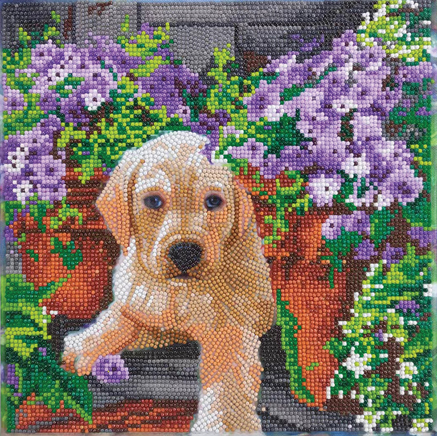Crystal Art Framed Canvas Kit - Floral Pup 30 x 30cm