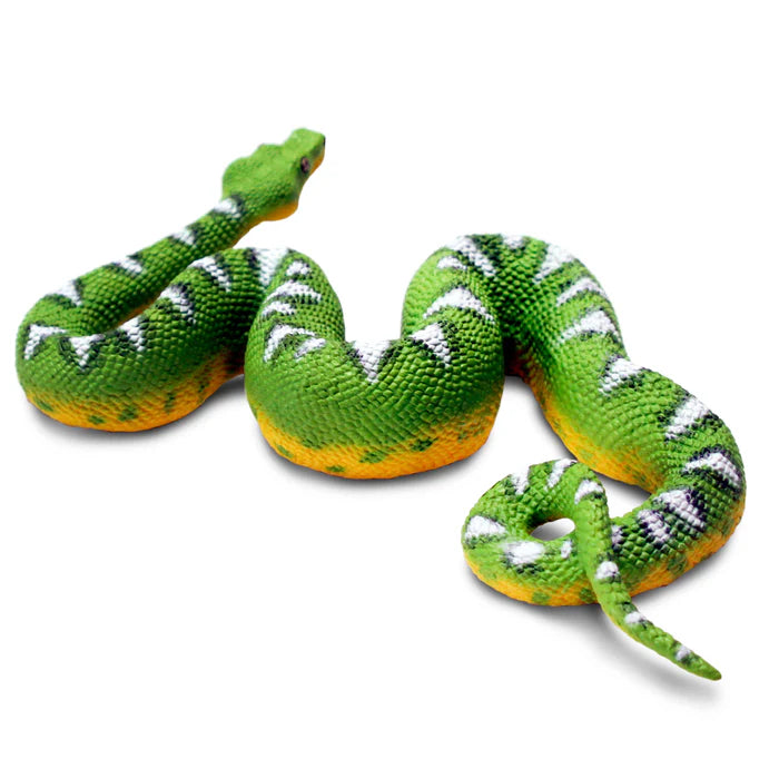 Emerald Tree Boa