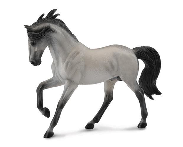 Andalusian Stallion Grey