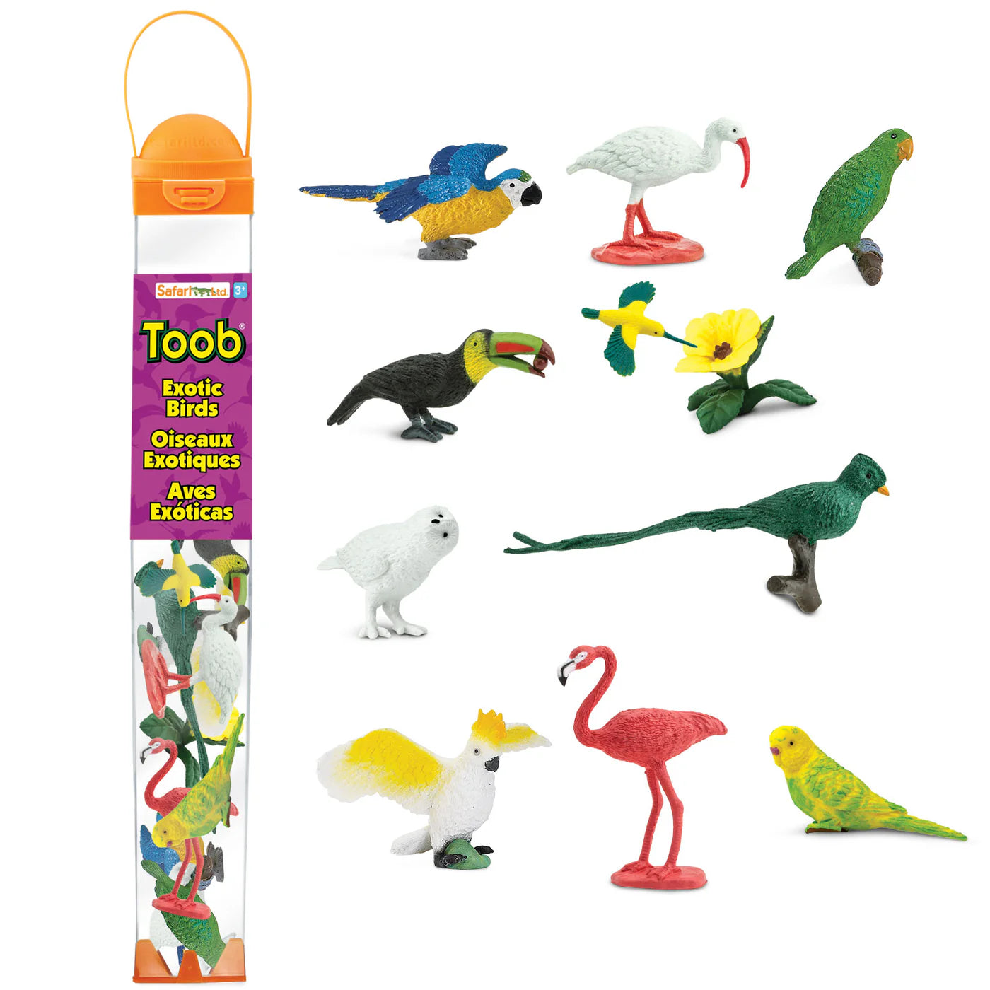 Exotic Birds Toob