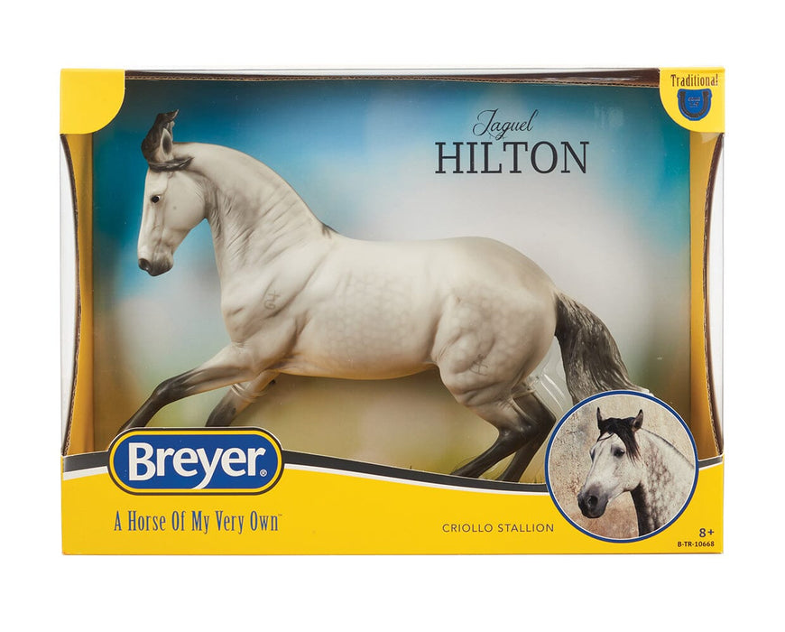 Jaguel Hilton Criollo Stallion 1/9