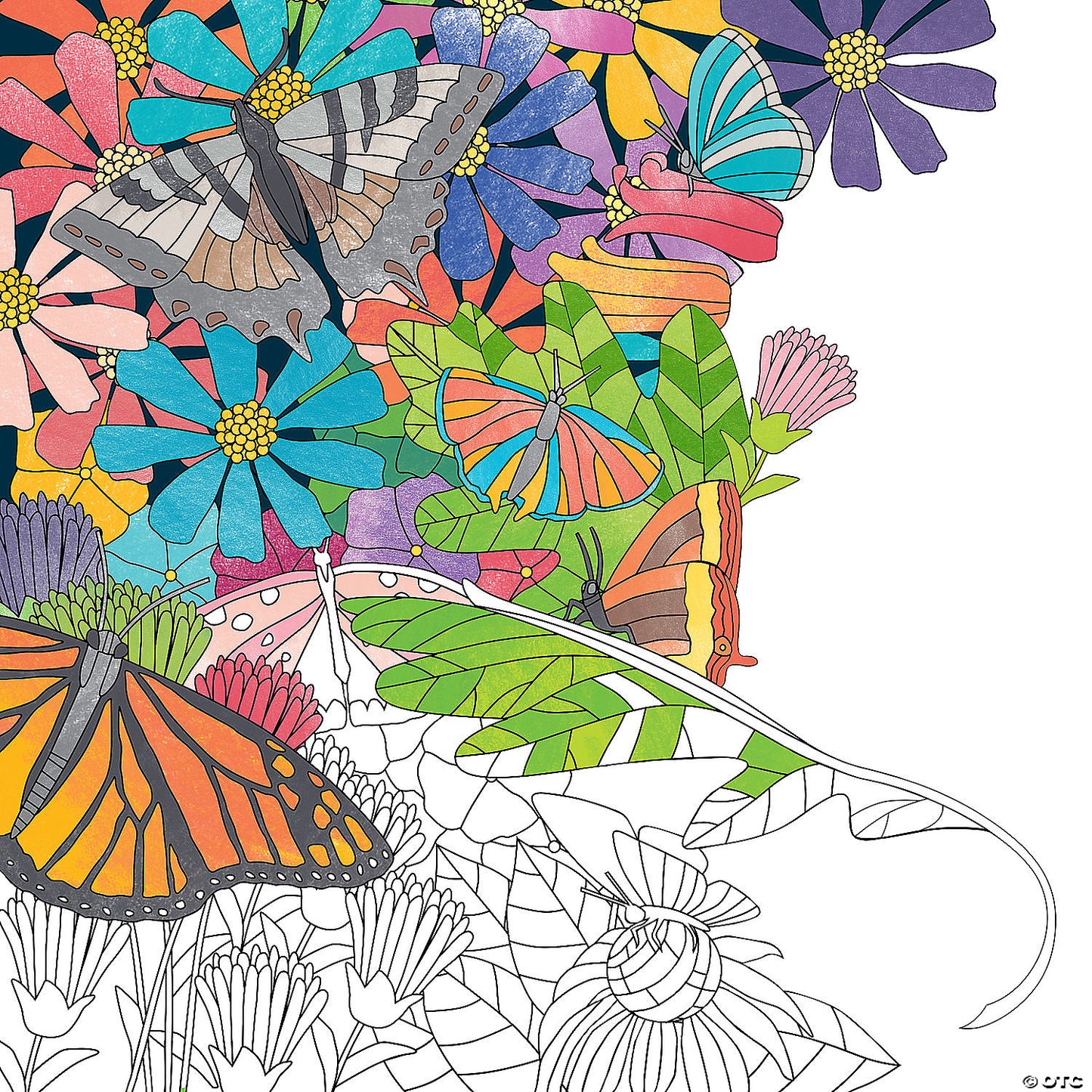 Color By Number - Colored Pencil Set (36 Colors)