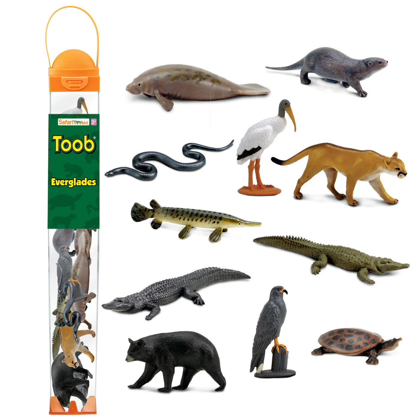 Everglades Toob