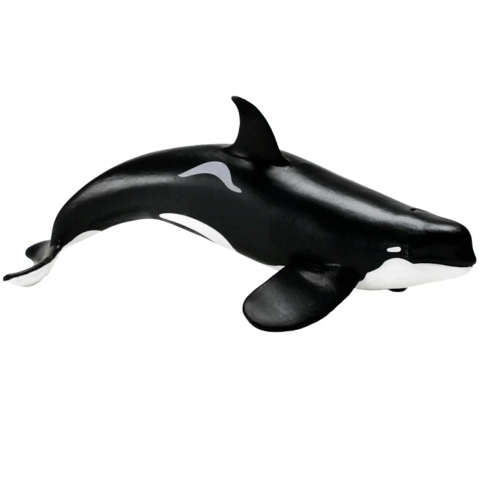 Type D Orca