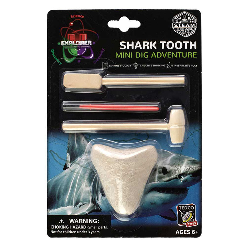 Shark Tooth Mini Dig Adventure