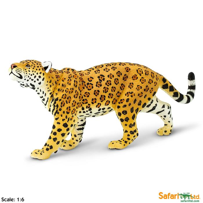 Jaguar
