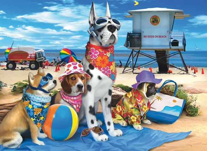 No Dogs on the Beach XXL100pc