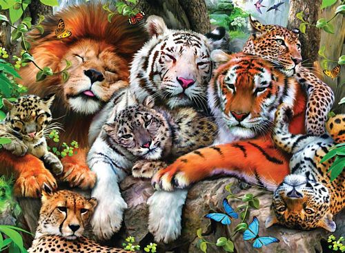 Big Cat Nap 200PC