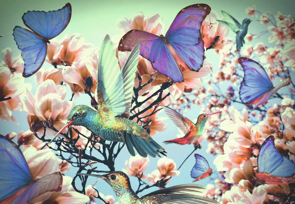 Hummingbird 300pc