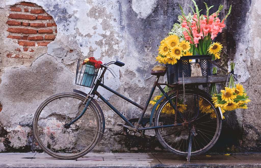 Bicycle 200pc