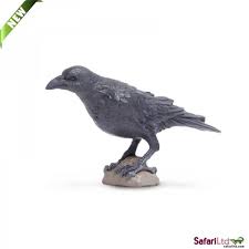 Raven