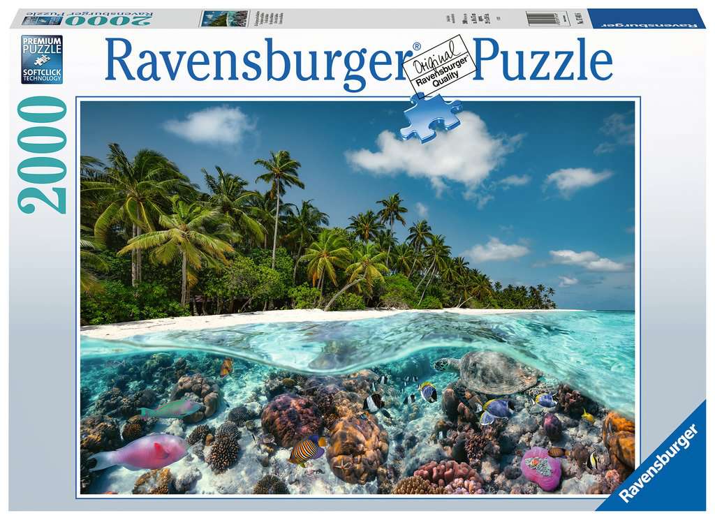 A Dive in the Maldives 2000pc