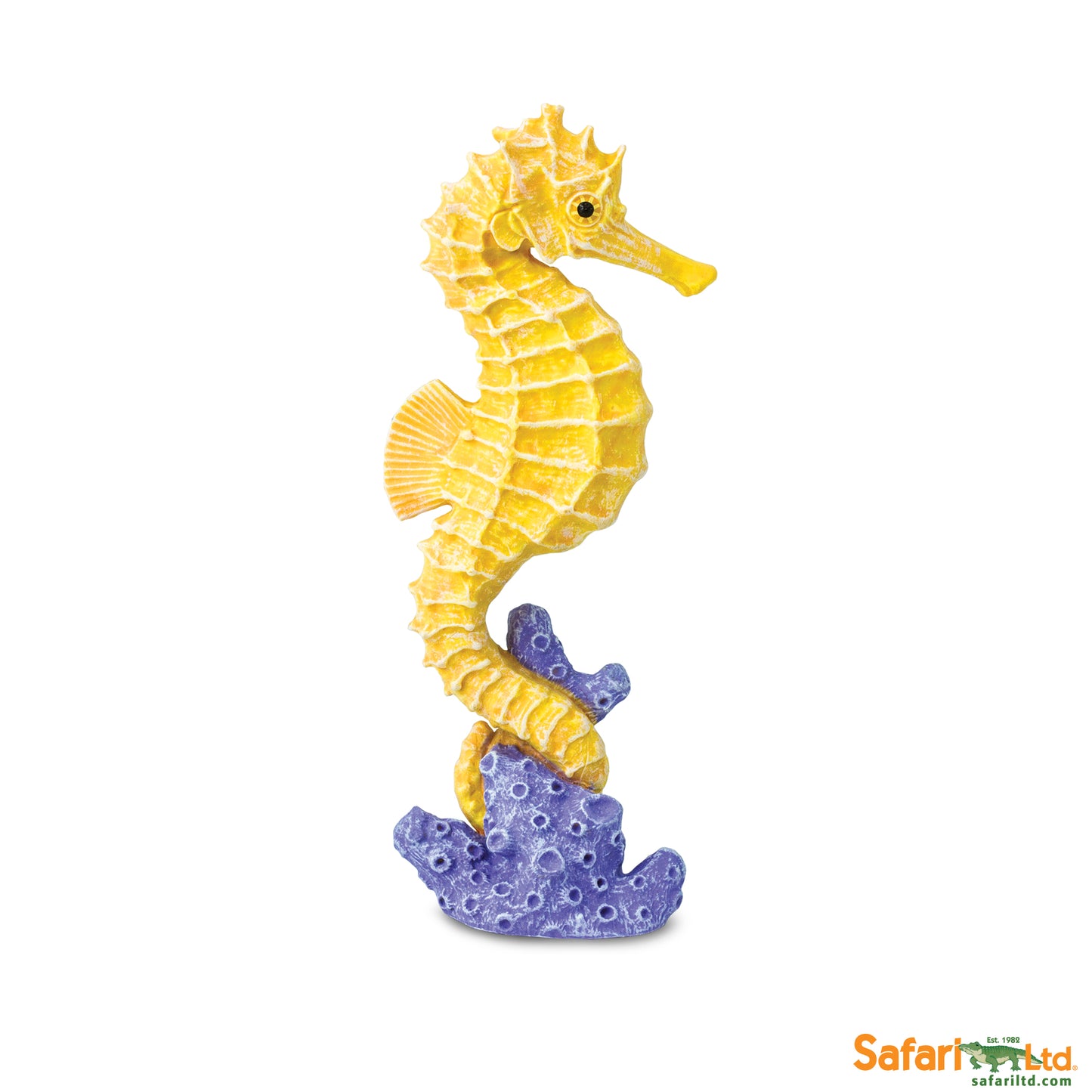 Seahorse