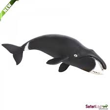 Bowhead Whale