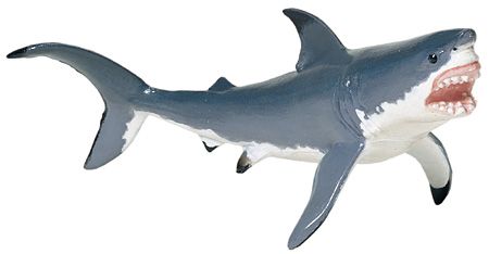 Great White Shark