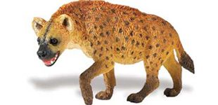 Hyena