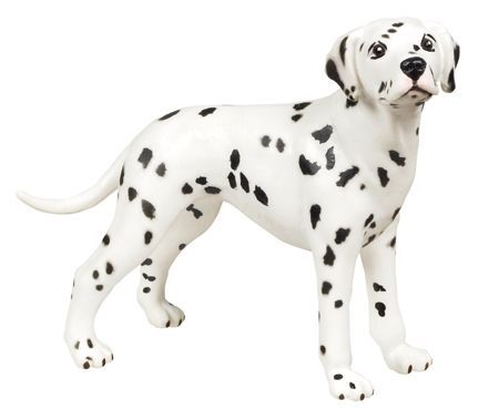 DALMATIAN