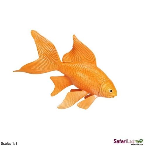 Goldfish