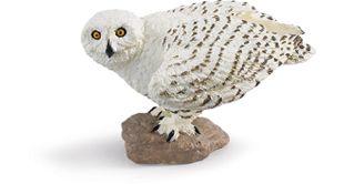 SNOWY OWL