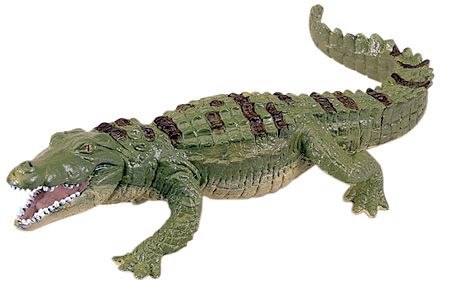 CROCODILE
