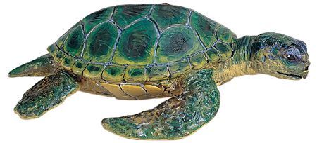 SEA TURTLE