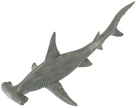 HAMMERHEAD SHARK