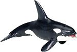 KILLER WHALE ADULT