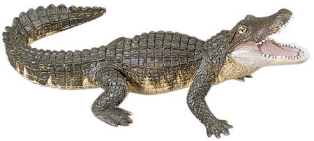 ALLIGATOR