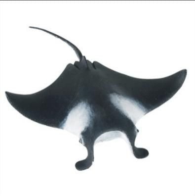 MANTA RAY