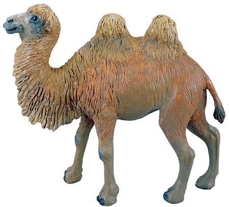 BACTRIAN CAMEL