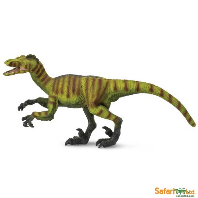 Velociraptor