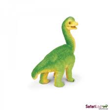 Brachiosaurus Baby