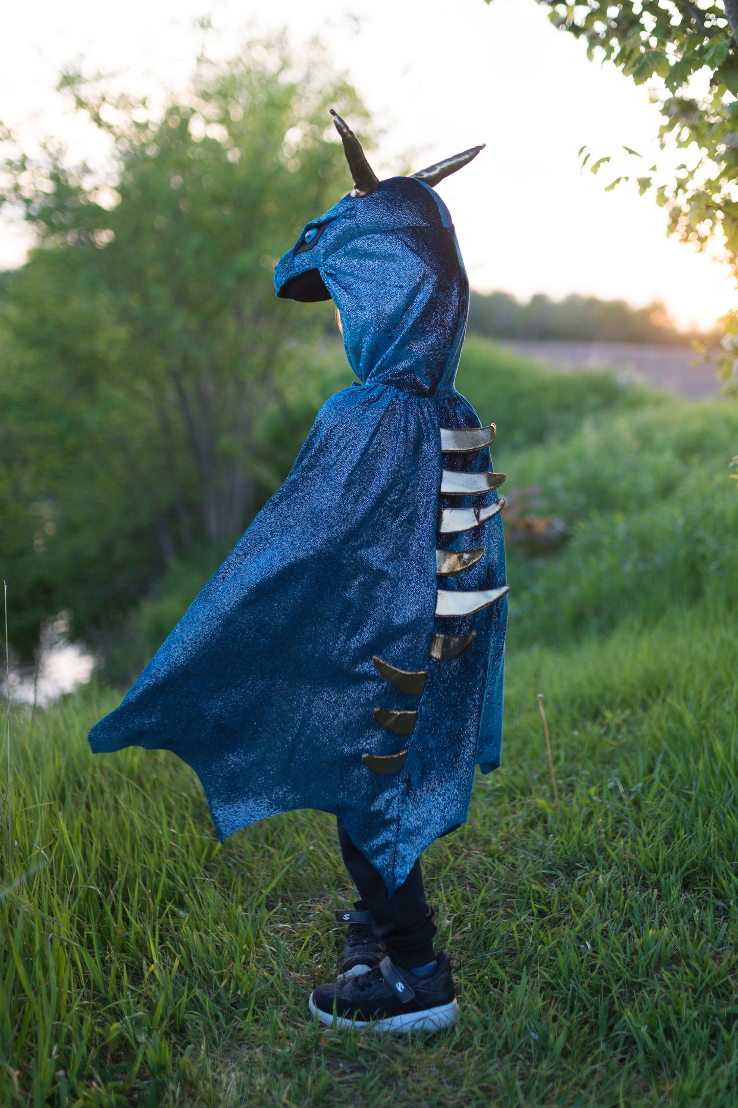 Starry Knight Dragon Size 5-6