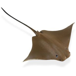 COWNOSE RAY