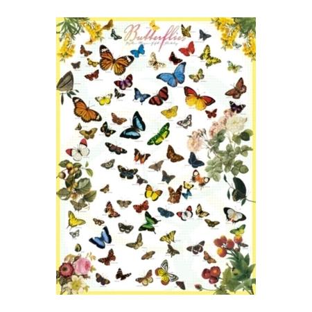 Butterflies 1000pc