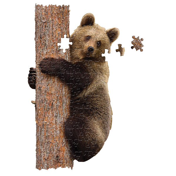 I am Lil' Bear 100pc