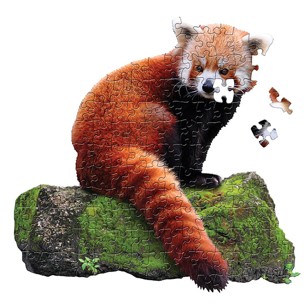 I am Lil' Red Panda 100pc