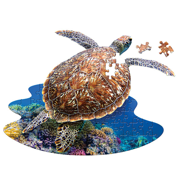 I am Lil' Sea Turtle 100pc