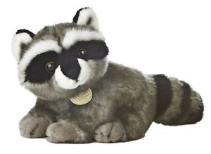 Raccoon