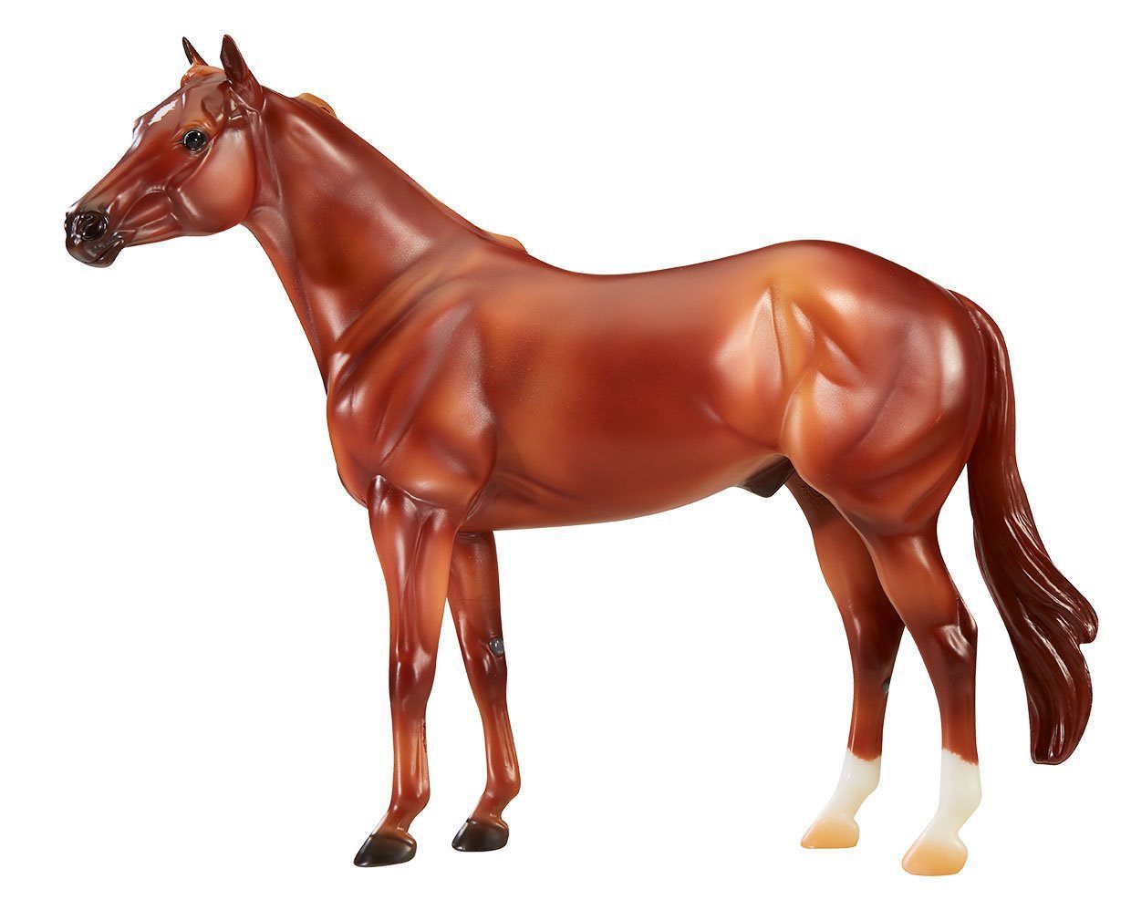 American Quarter Horse Orren Mixer