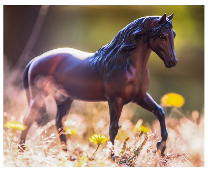 Vivaldi de Besilu Paso Fino 1/9