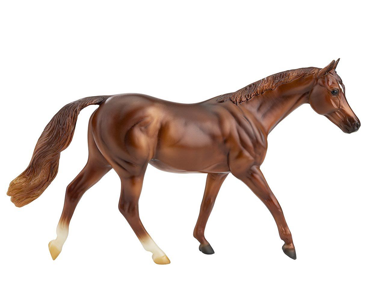 Freedom Coppery Chestnut Throughbred