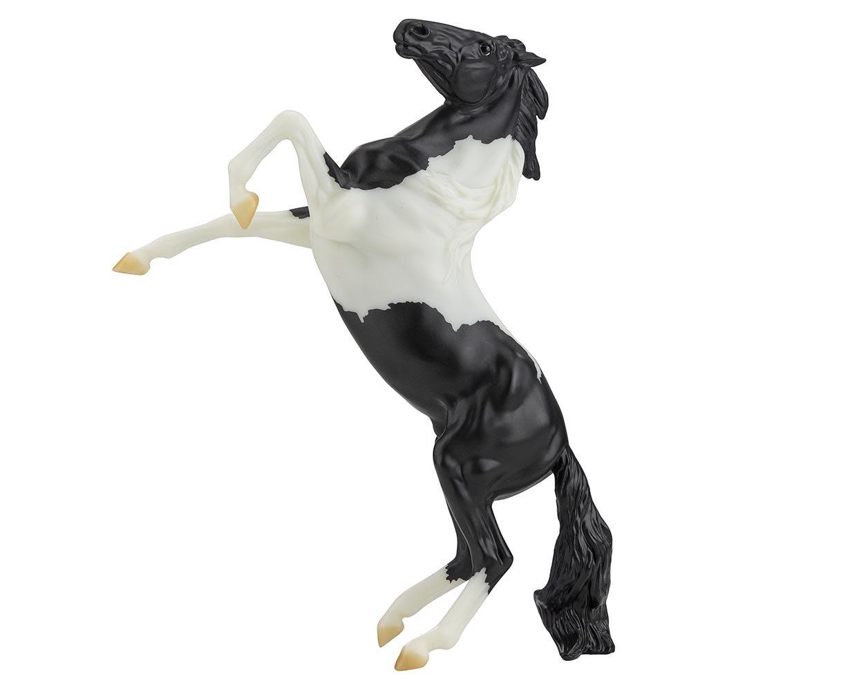 Freedom Black Pinto