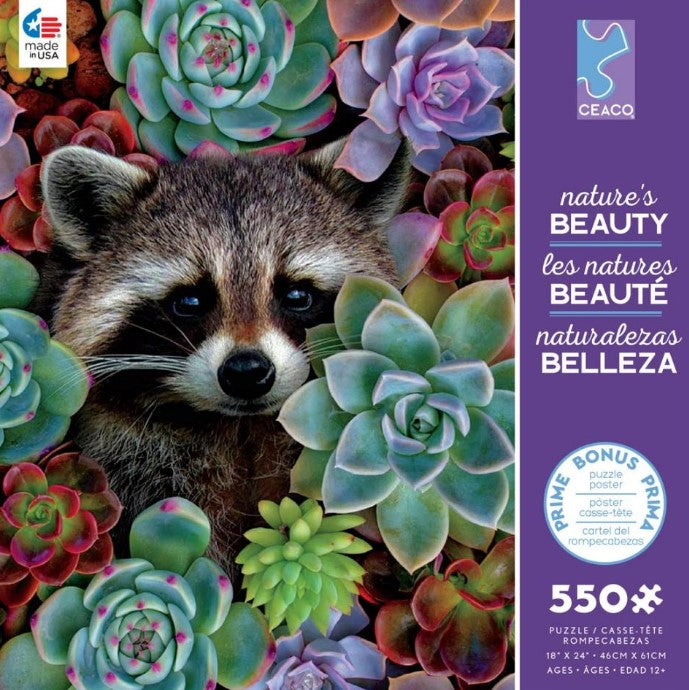 Raccoon 550pc