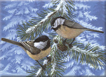 PINE BIRDS
