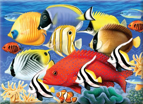 TROPICAL FISH