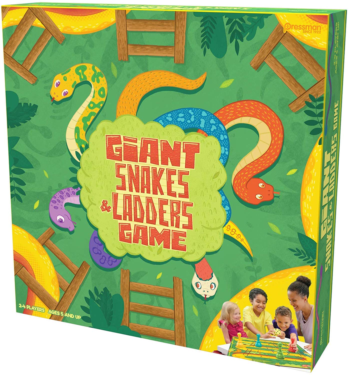 Giant Snakes and Ladders
