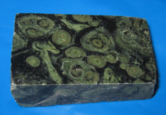 Alligator Jasper Slab