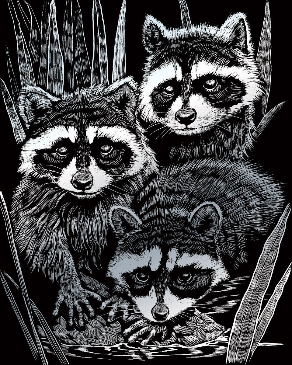 Silver Foil Raccoons
